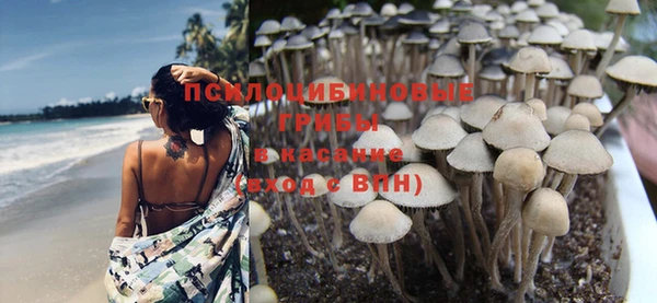 прущий лед Алексеевка